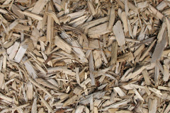 biomass boilers Ellerburn