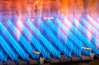Ellerburn gas fired boilers